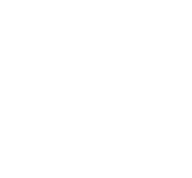 Green Arts Initiative